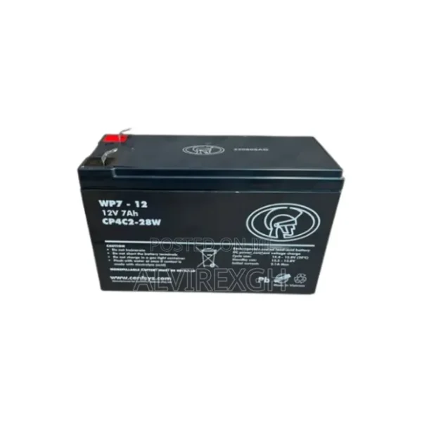 Centurion Gate Motor Accessories Battery